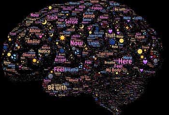 cervello e memoria